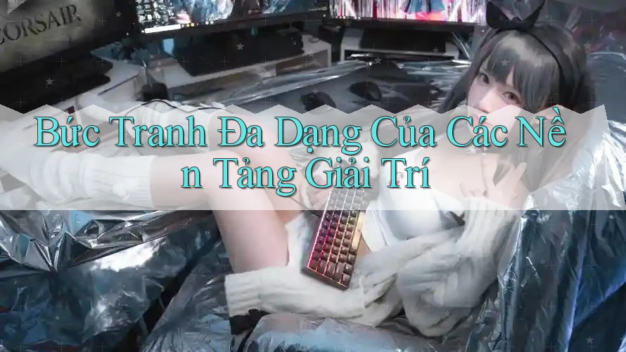 Bức Tranh Đa Dạng Của Các Nền Tảng Giải Trí Bức Tranh Đa Dạng Của Các Nền Tảng Giải Trí