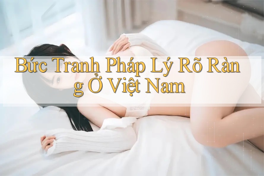 Bức Tranh Pháp Lý Rõ Ràng Ở Việt Nam Bức Tranh Pháp Lý Rõ Ràng Ở Việt Nam