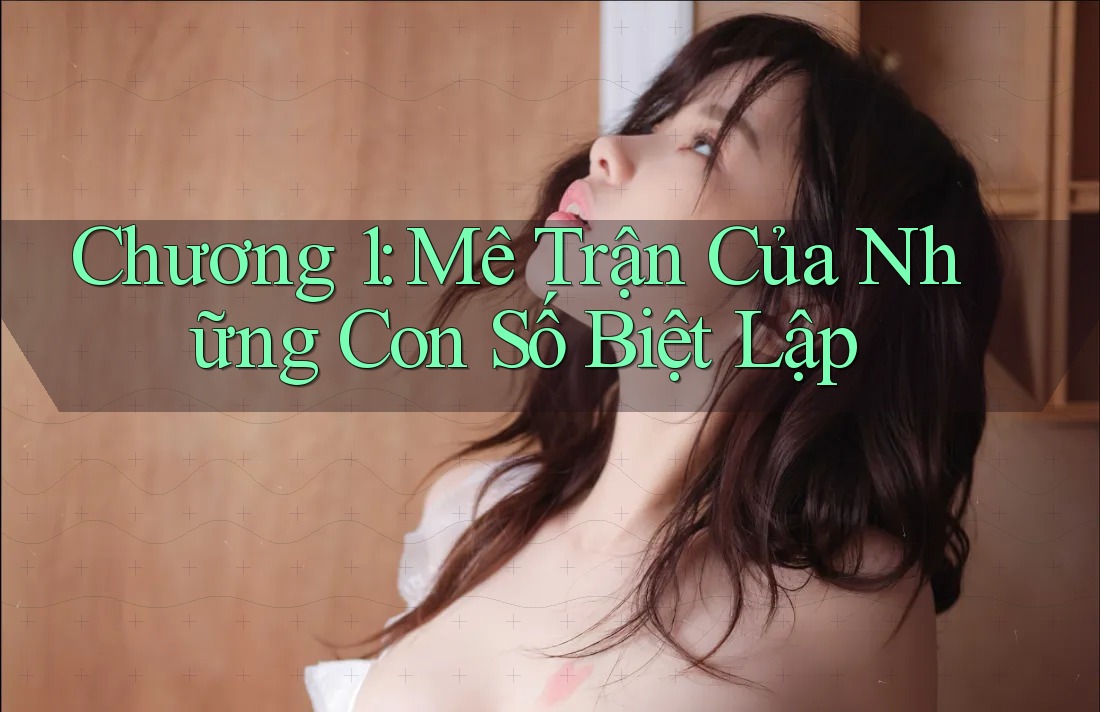 Chương 1: Mê Trận Của Những Con Số Biệt Lập