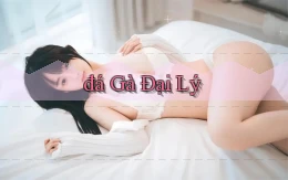 đá gà Đại lý