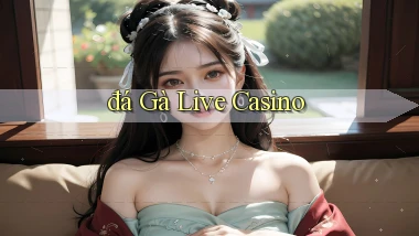 đá gà Live casino