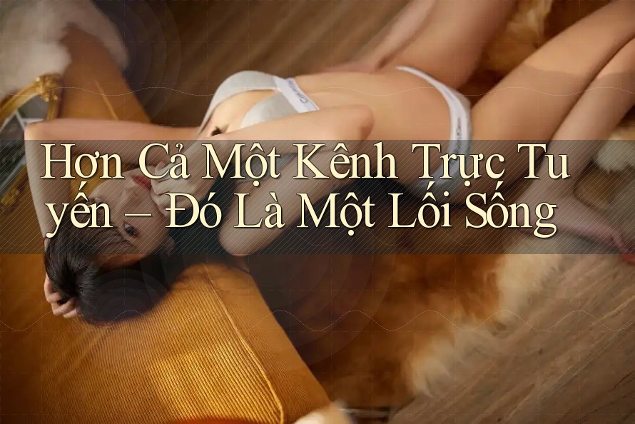 Hơn Cả Một Kênh Trực Tuyến – Đó Là Một Lối Sống Hơn Cả Một Kênh Trực Tuyến – Đó Là Một Lối Sống