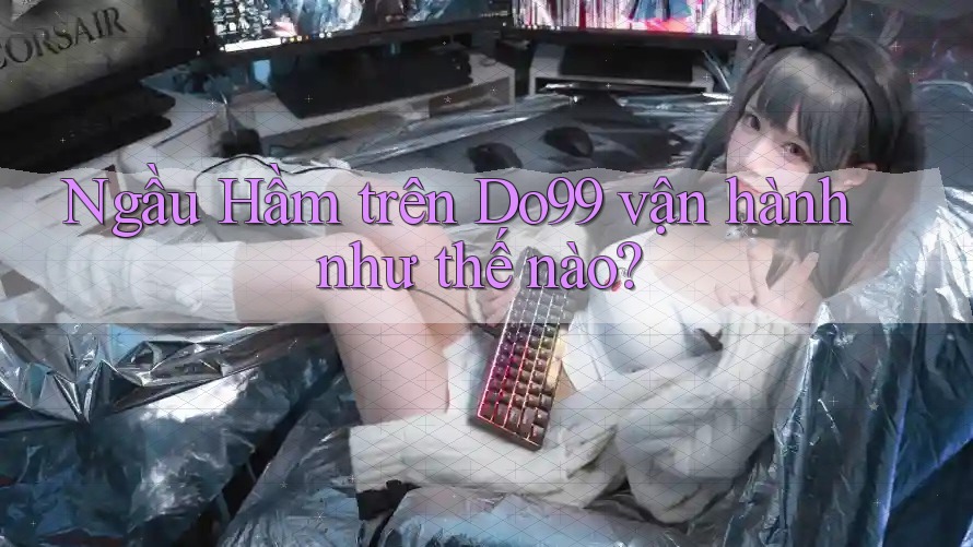 Ngầu Hầm trên Do99 vận hành như thế nào? Ngầu Hầm trên Do99 vận hành như thế nào?