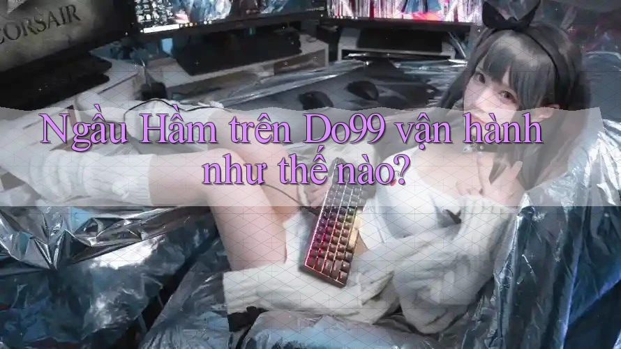 Ngầu Hầm trên Do99 vận hành như thế nào? Ngầu Hầm trên Do99 vận hành như thế nào?