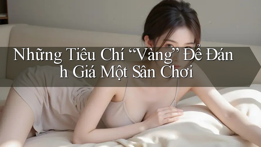 Những Tiêu Chí “Vàng” Để Đánh Giá Một Sân Chơi Những Tiêu Chí “Vàng” Để Đánh Giá Một Sân Chơi