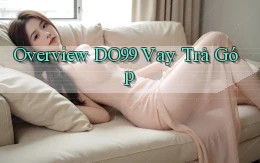 overview do99 vay trả góp