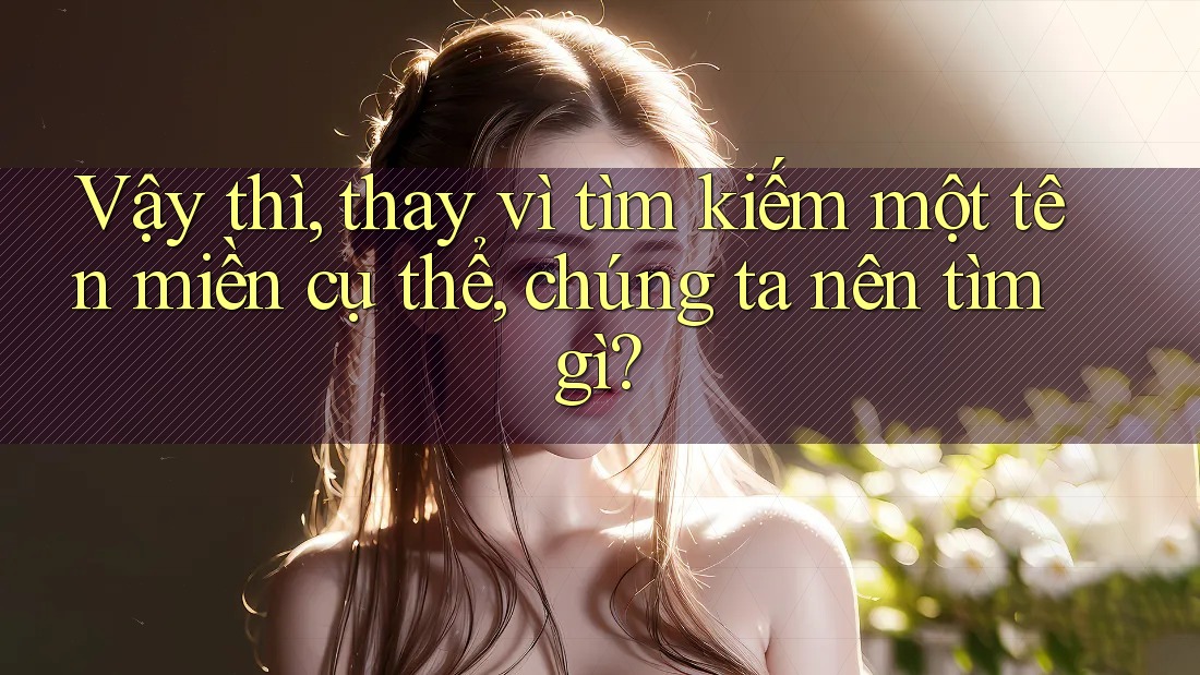 Vậy thì, thay vì tìm kiếm một tên miền cụ thể, chúng ta nên tìm gì? Vậy thì, thay vì tìm kiếm một tên miền cụ thể, chúng ta nên tìm gì?