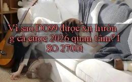 Vì sao DO99 được xu hướng cá cược 2026 quan tâm ISO 27001